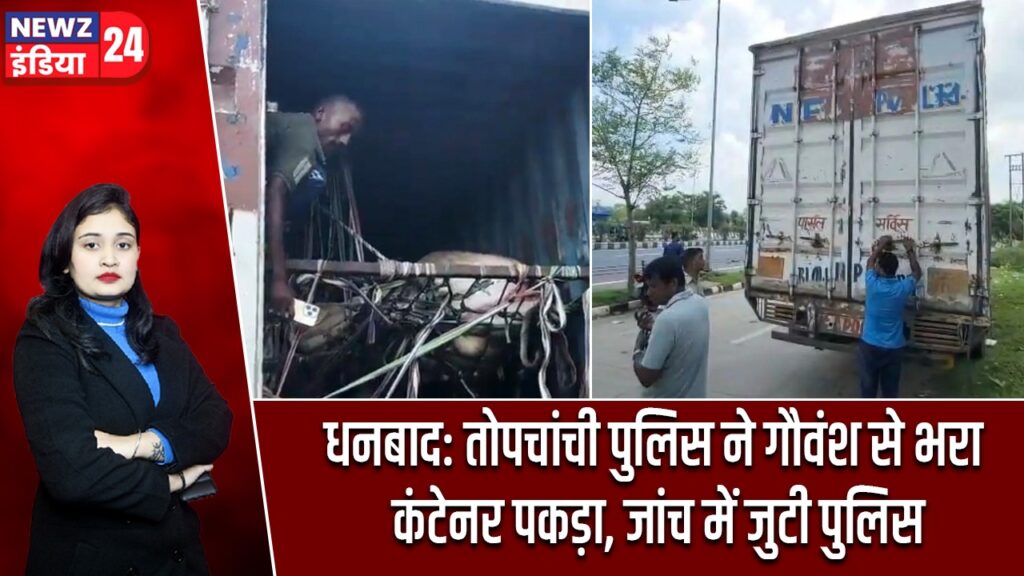 धनबाद: तोपचांची पुलिस ने गौवंश से भरा कंटेनर पकड़ा, जांच में जुटी पुलिस