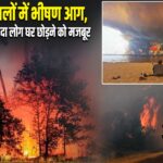 फ्रांस के जंगलों में भीषण आग, 2.5 लाख से ज्यादा लोग घर छोड़ने को मजबूर