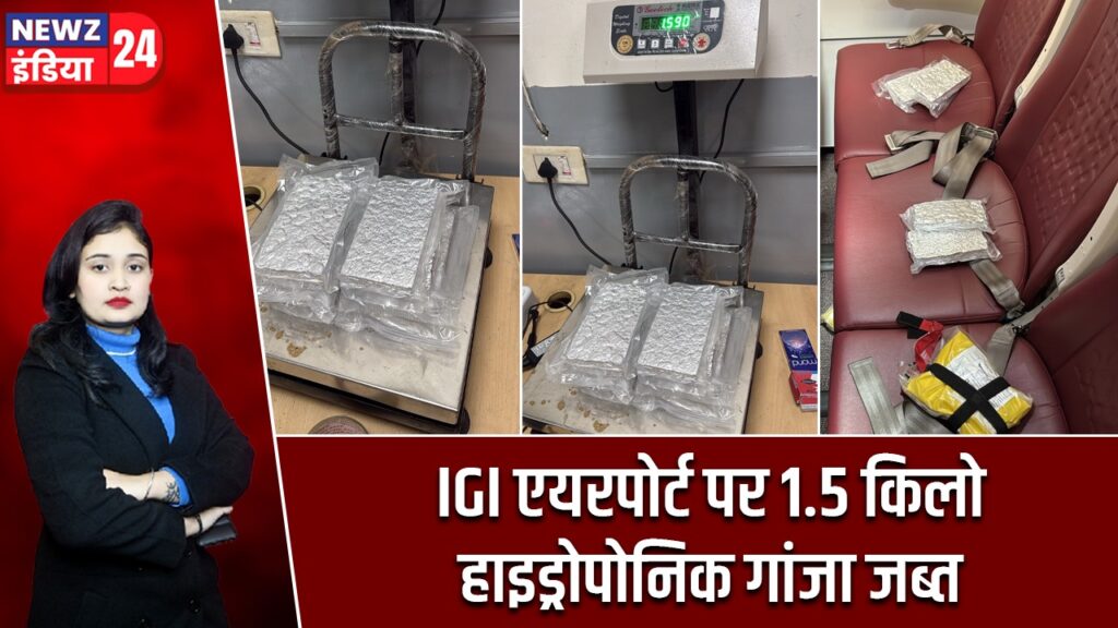 IGI एयरपोर्ट पर 1.5 किलो हाइड्रोपोनिक गांजा जब्त