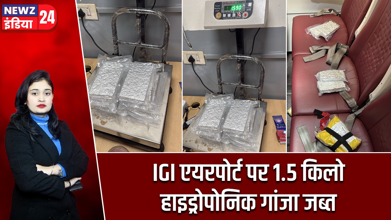 IGI एयरपोर्ट पर 1.5 किलो हाइड्रोपोनिक गांजा जब्त