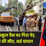 मुंबई में स्कूल वैन पर गिरा पेड़, एक बच्चे की मौत, कई घायल |