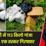 मधुबनी में 113 किलो गांजा बरामद, एक तस्कर गिरफ्तार |