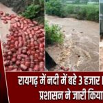 रायगढ़ में नदी में बहे 3 हजार LPG सिलेंडर, प्रशासन ने जारी किया अलर्ट |