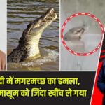 घाघरा नदी में मगरमच्छ का हमला, 12 साल के मासूम को जिंदा खींच ले गया |