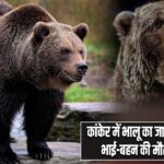कांकेर में भालू का जानलेवा हमला, भाई-बहन की मौत से दहशत