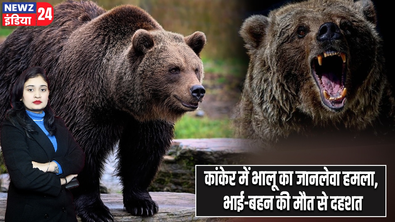 कांकेर में भालू का जानलेवा हमला, भाई-बहन की मौत से दहशत