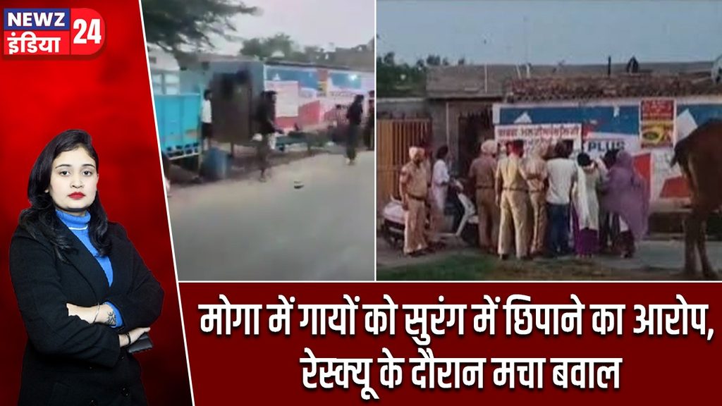 मोगा में गायों को सुरंग में छिपाने का आरोप, रेस्क्यू के दौरान मचा बवाल