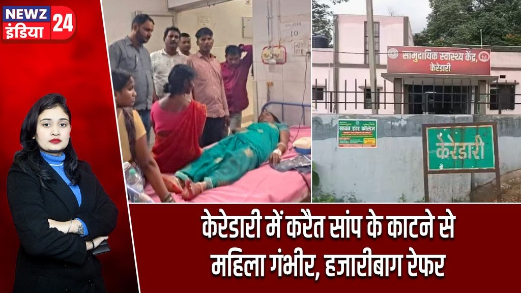 केरेडारी में करैत सांप के काटने से महिला गंभीर, हजारीबाग रेफर