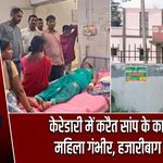 केरेडारी में करैत सांप के काटने से महिला गंभीर, हजारीबाग रेफर
