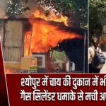 श्योपुर में चाय की दुकान में भीषण आग, गैस सिलेंडर धमाके से मची अफरा-तफरी