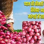 प्याज की कीमतों में फिर उछाल, सितंबर-अक्टूबर तक महंगाई से राहत मुश्किल