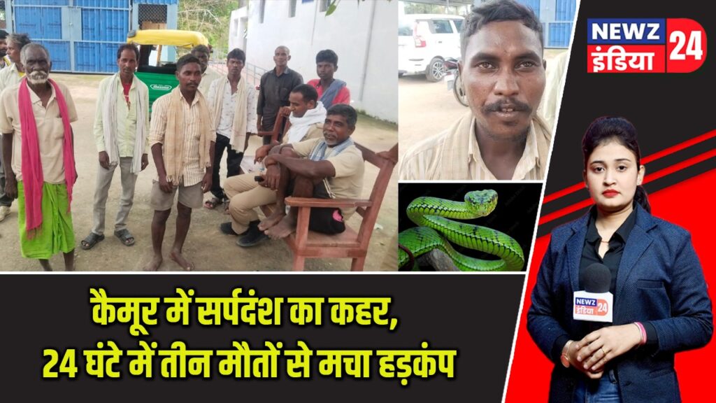 कैमूर में सर्पदंश का कहर, 24 घंटे में तीन मौतों से मचा हड़कंप |