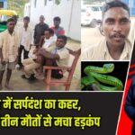 कैमूर में सर्पदंश का कहर, 24 घंटे में तीन मौतों से मचा हड़कंप |