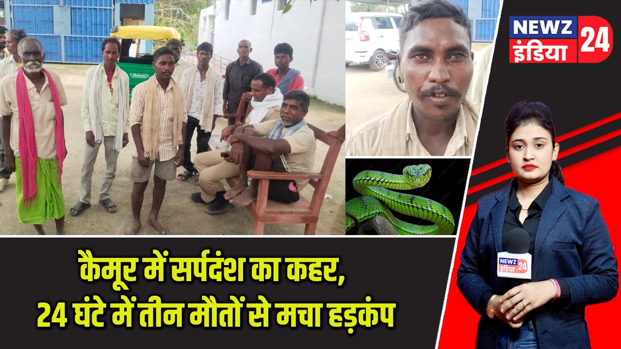 कैमूर में सर्पदंश का कहर, 24 घंटे में तीन मौतों से मचा हड़कंप |