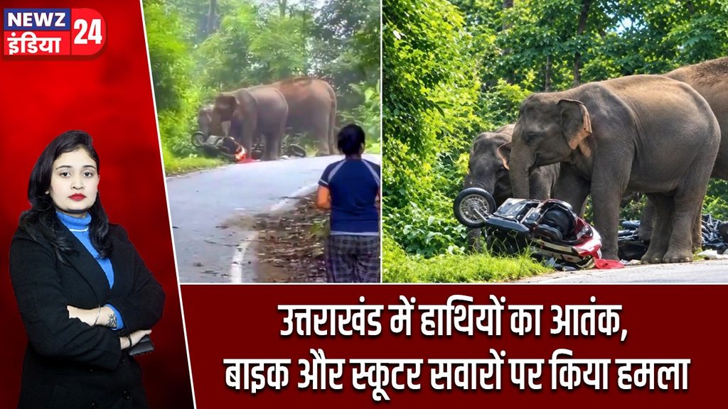 उत्तराखंड में हाथियों का आतंक, बाइक और स्कूटर सवारों पर किया हमला