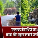 उत्तराखंड में हाथियों का आतंक, बाइक और स्कूटर सवारों पर किया हमला
