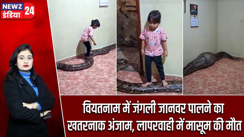 वियतनाम में जंगली जानवर पालने का खतरनाक अंजाम, लापरवाही में मासूम की मौत