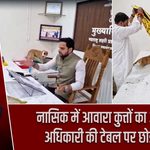 नासिक में आवारा कुत्तों का आतंक, अधिकारी की टेबल पर छोड़े कुत्ते