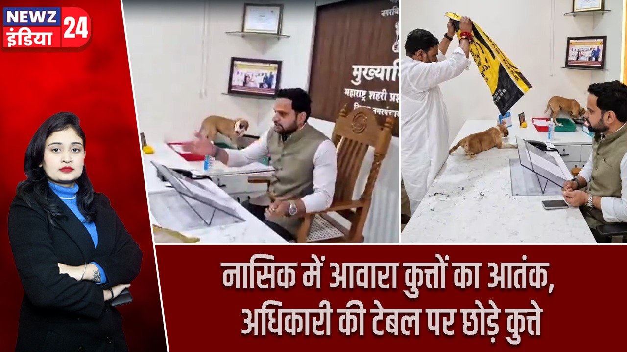नासिक में आवारा कुत्तों का आतंक, अधिकारी की टेबल पर छोड़े कुत्ते