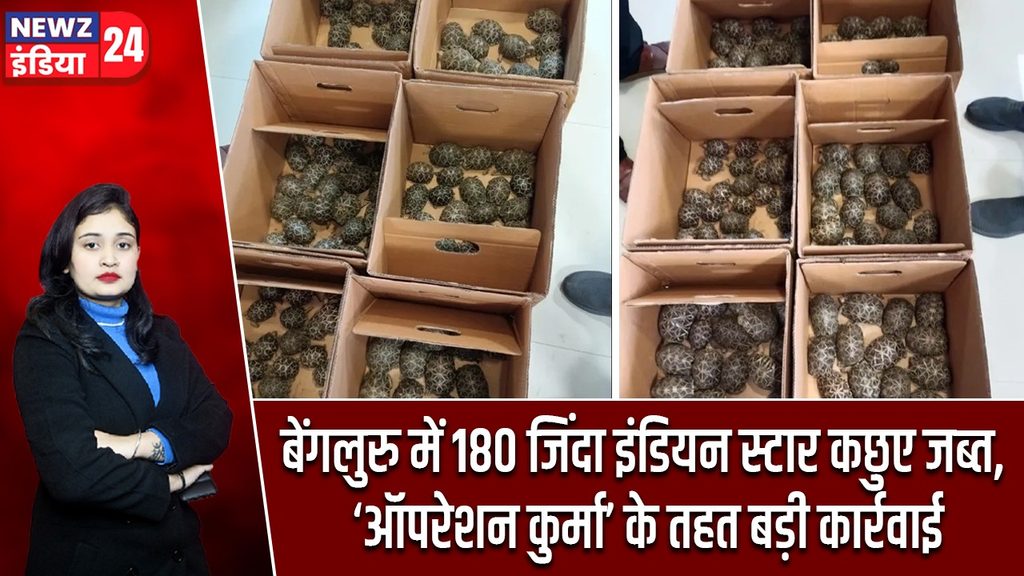 बेंगलुरु में 180 जिंदा इंडियन स्टार कछुए जब्त, ‘ऑपरेशन कुर्मा’ के तहत बड़ी कार्रवाई