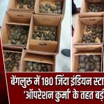 बेंगलुरु में 180 जिंदा इंडियन स्टार कछुए जब्त, ‘ऑपरेशन कुर्मा’ के तहत बड़ी कार्रवाई