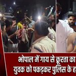 भोपाल में गाय से क्रूरता का आरोप, युवक को पकड़कर पुलिस के हवाले किया