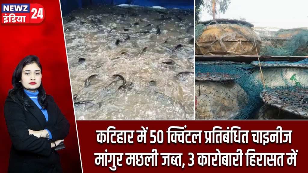 कटिहार में 50 क्विंटल प्रतिबंधित चाइनीज मांगुर मछली जब्त, 3 कारोबारी हिरासत में