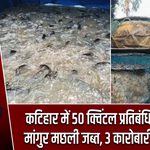 कटिहार में 50 क्विंटल प्रतिबंधित चाइनीज मांगुर मछली जब्त, 3 कारोबारी हिरासत में