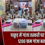 पाकुड़ में गांजा तस्करी पर कार्रवाई, 1200 ग्राम गांजा बरामद