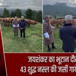जयशंकर का भूटान दौरा, 43 शुद्ध नस्ल की जर्सी गायें सौंपीं