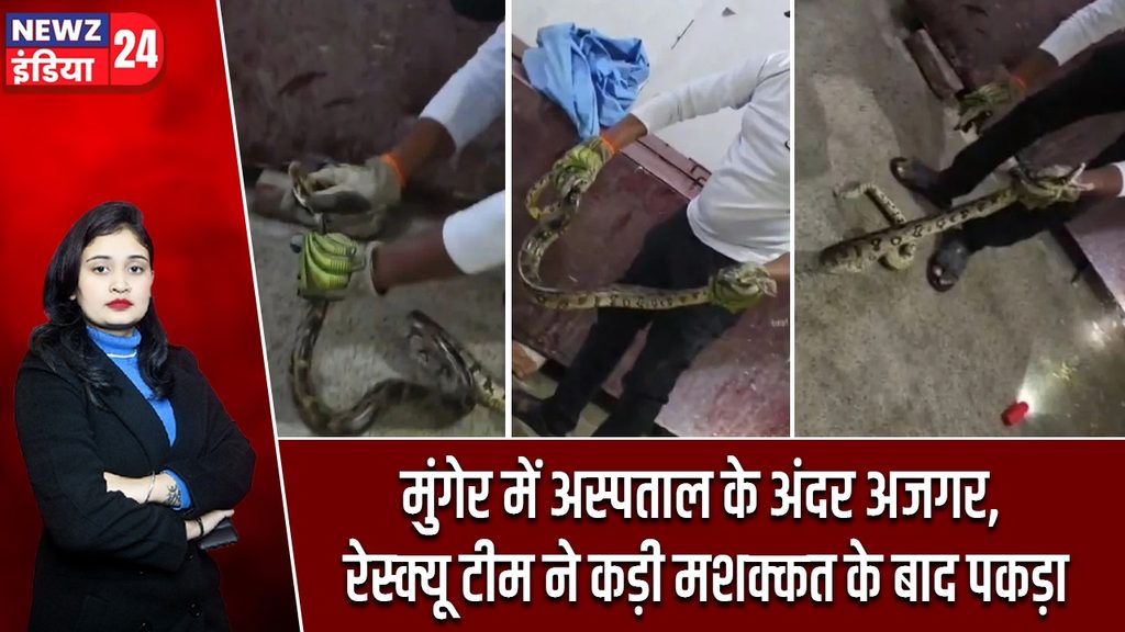 मुंगेर में अस्पताल के अंदर अजगर, रेस्क्यू टीम ने कड़ी मशक्कत के बाद पकड़ा |