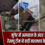 मुंगेर में अस्पताल के अंदर अजगर, रेस्क्यू टीम ने कड़ी मशक्कत के बाद पकड़ा |