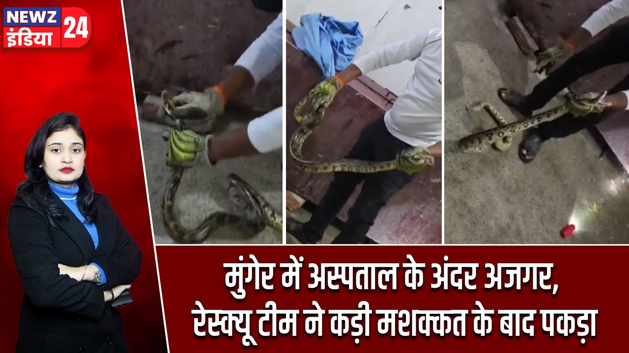 मुंगेर में अस्पताल के अंदर अजगर, रेस्क्यू टीम ने कड़ी मशक्कत के बाद पकड़ा |