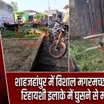 शाहजहांपुर में विशाल मगरमच्छ की दहशत, रिहायशी इलाके में घुसने से मचा हड़कंप
