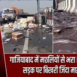 गाजियाबाद में मछलियों से भरा DCM पलटा, सड़क पर बिखरी जिंदा मछलियां |