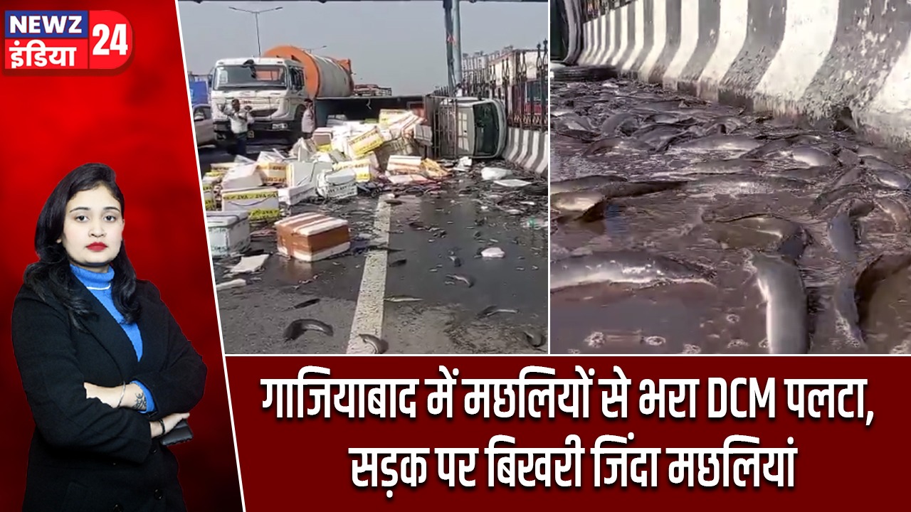 गाजियाबाद में मछलियों से भरा DCM पलटा, सड़क पर बिखरी जिंदा मछलियां |