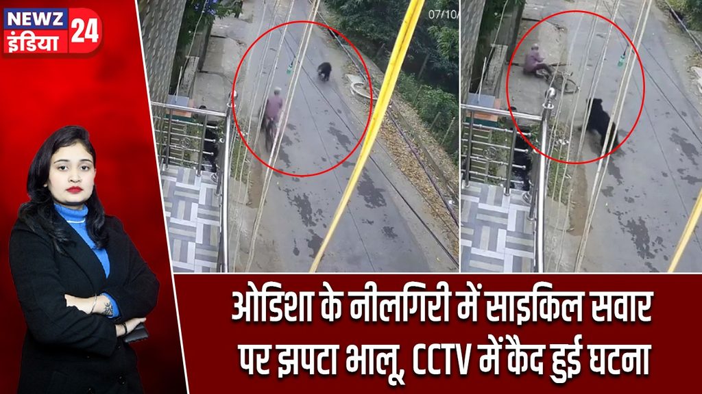 ओडिशा के नीलगिरी में साइकिल सवार पर झपटा भालू, CCTV में कैद हुई घटना |