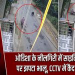 ओडिशा के नीलगिरी में साइकिल सवार पर झपटा भालू, CCTV में कैद हुई घटना |